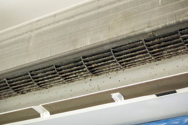 Best Ventilation Cleaning Services  in Boutte, LA